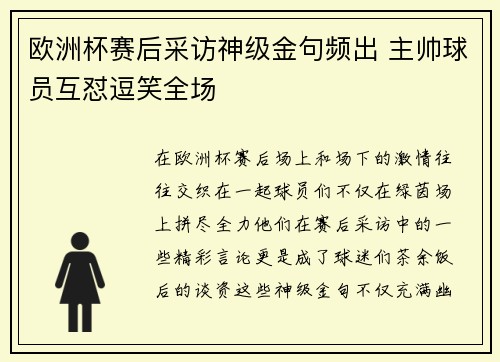 欧洲杯赛后采访神级金句频出 主帅球员互怼逗笑全场