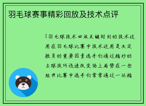 羽毛球赛事精彩回放及技术点评